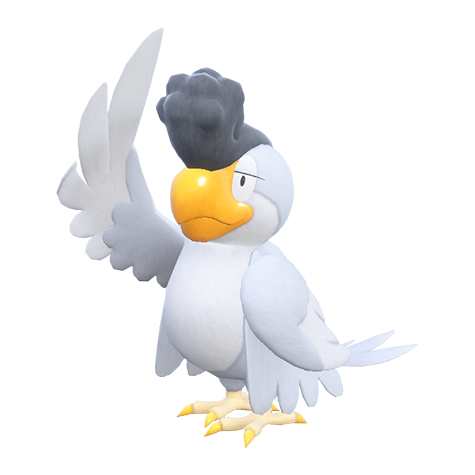 Squawkabilly-White