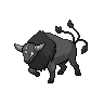 Paldean Tauros (Combat Breed)